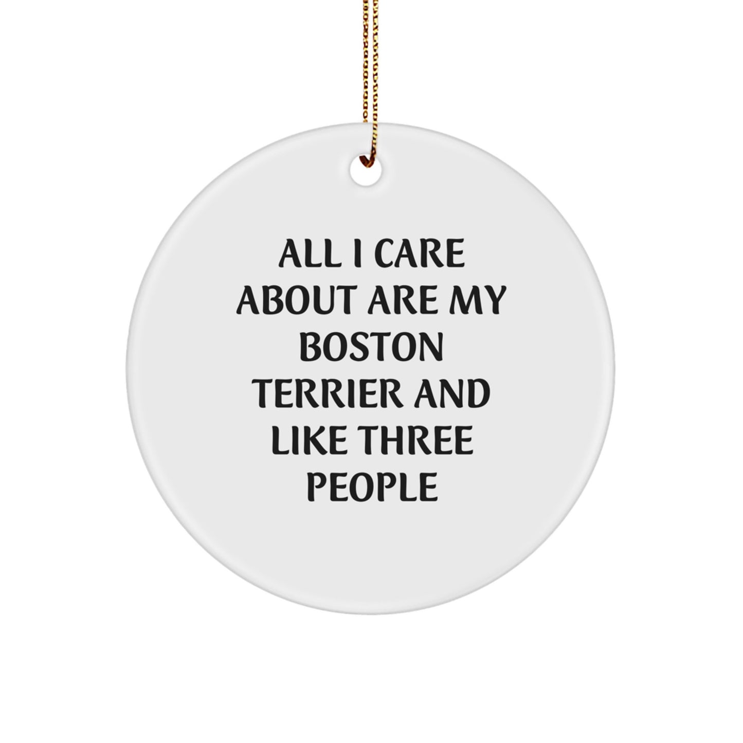 Boston Terrier Dog Lovers' Christmas Unique Gift, Funny Circle Ornament 'All I Care About Are My Boston Terrier' from Friends, Perfect for Boston Terrier Dog Owners, Christmas Unique Gifts - Image 1