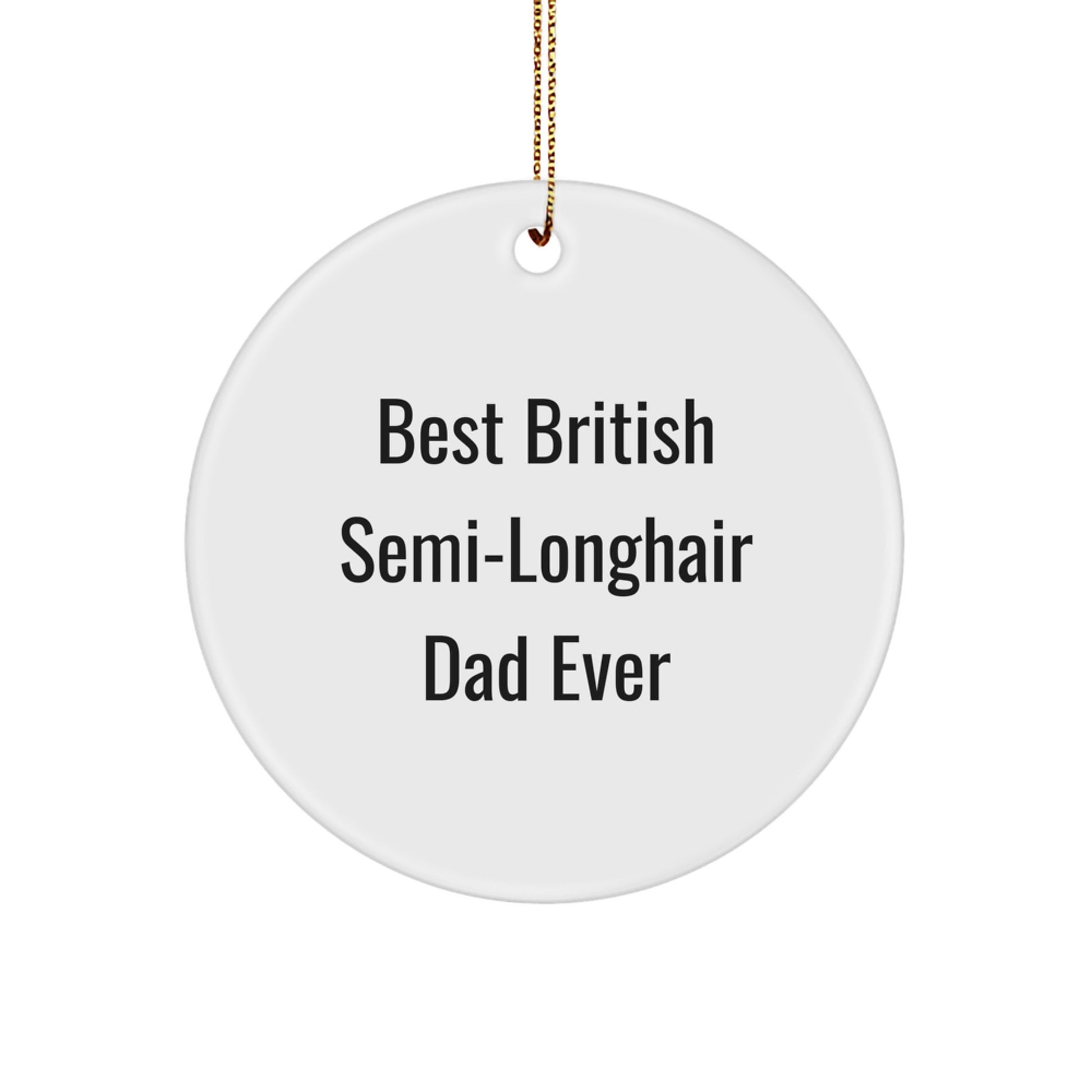 British Semi-Longhair Cat Gifts from Men, Funny Circle Ornament for Christmas, Best Ever Quote, Gifts for Cat Lovers - Image 1