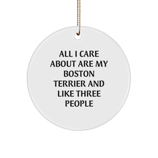 Boston Terrier Dog Lovers' Christmas Unique Gift, Funny Circle Ornament 'All I Care About Are My Boston Terrier' from Friends, Perfect for Boston Terrier Dog Owners, Christmas Unique Gifts - Image 1