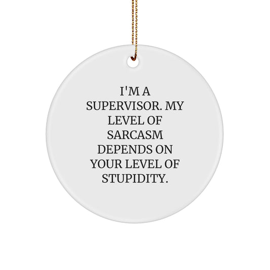 Supervisor Gifts, Funny Circle Ornament for Christmas, 'I'm A Supervisor. My Level Of Sarcasm Depends On Your Level Of Stupidity.', Gifts from Family, for Supervisor - Image 1