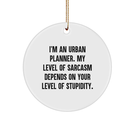 Urban Planner Gifts from Friends, 'I'm An Urban Planner. My Level Of Sarcasm Depends On Your Level Of Stupidity.' Funny Circle Ornament for Christmas, Gifts for Urban Planner - Image 1