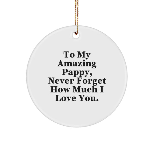 To My Amazing Pappy, Funny Circle Ornament Gifts from Family for Men, Never Forget How Much I Love You. - Image 1