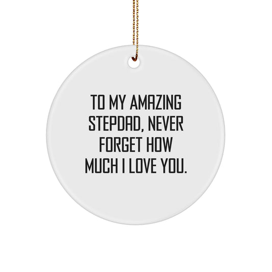 Stepdad Gifts from Family, To My Amazing Stepdad, Circle Ornament for Christmas, Inspirational Quote - Image 1