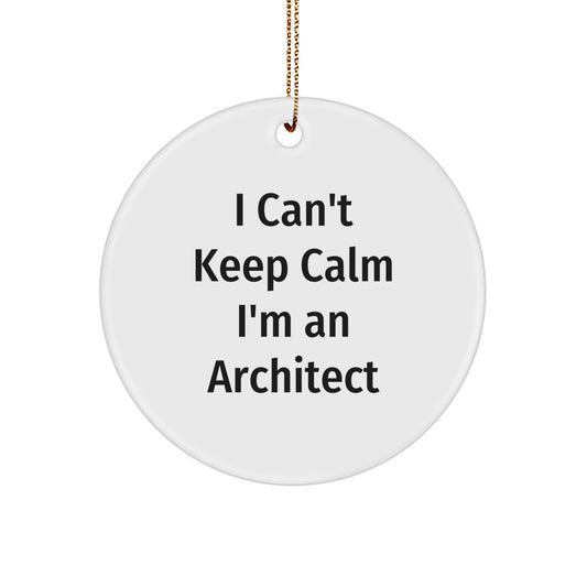 Architect Gifts I Can't Keep Calm Circle Ornament from Family - Unique Christmas Memorable Presents for Men - Image 1