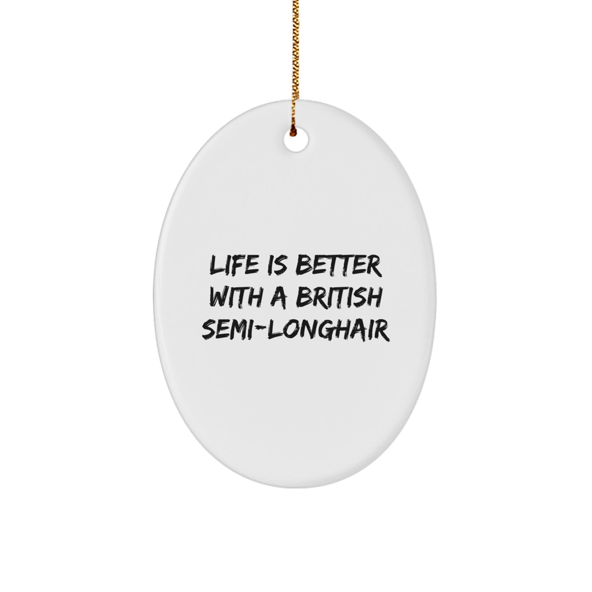 British Semi-Longhair Cat Oval Ornament Gifts from Family, Perfect for Christmas - Image 1