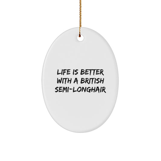 British Semi-Longhair Cat Oval Ornament Gifts from Family, Perfect for Christmas - Image 1