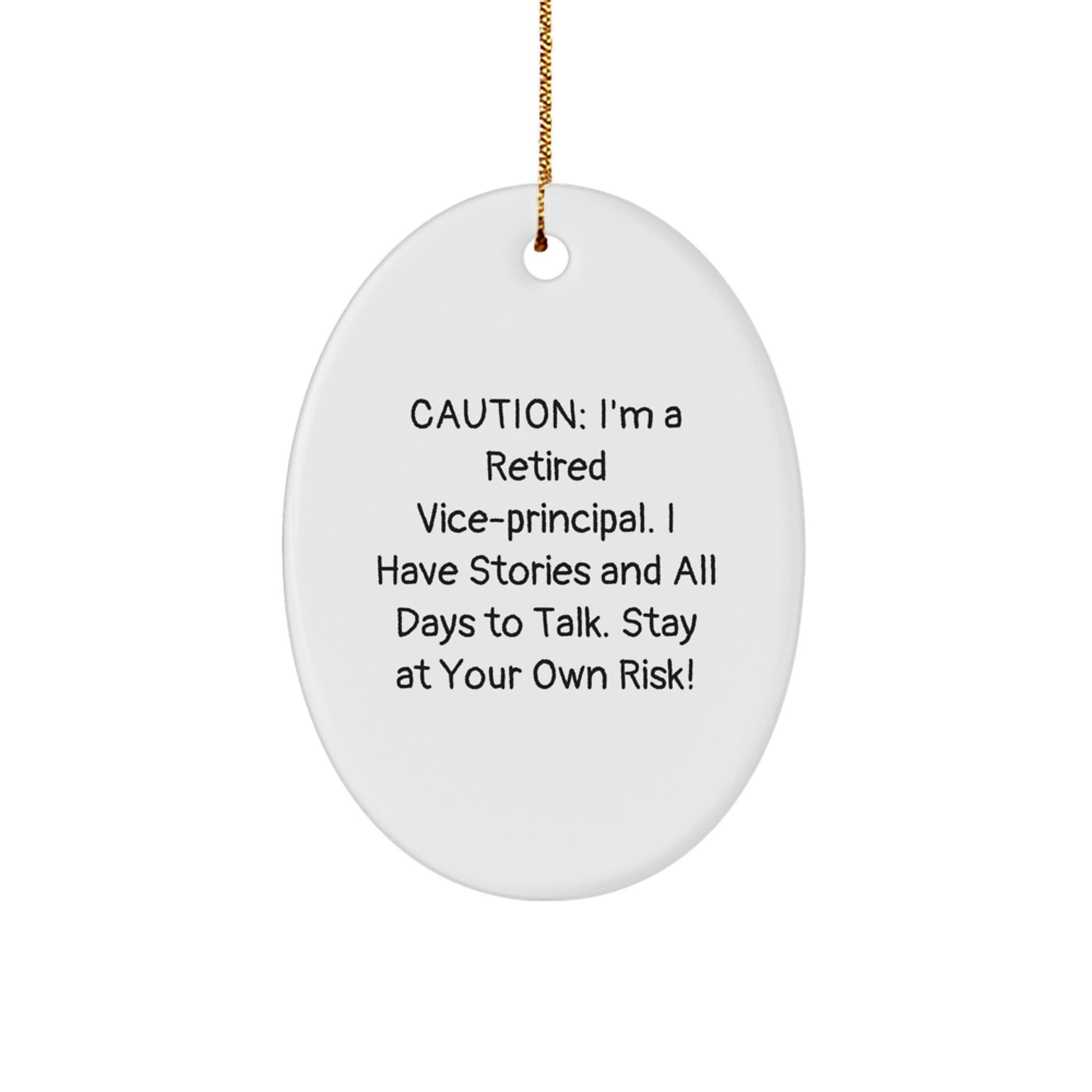 Vice-Principal Gifts from Friends - Christmas Unique Oval Ornament with Funny Quote - Gifts for Men, Women, Coworkers, Family - Image 1