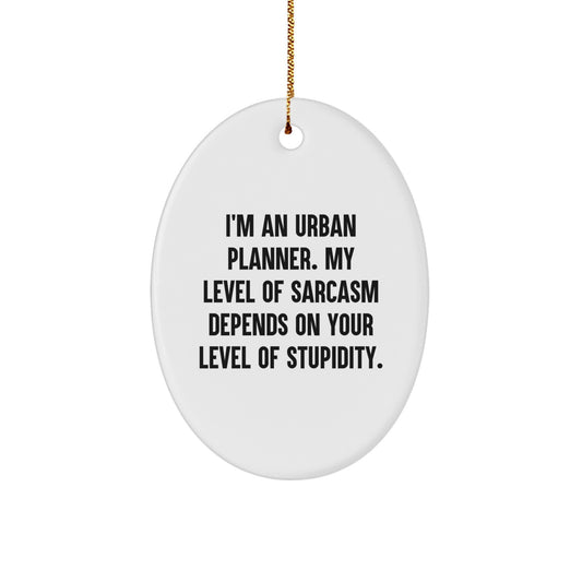Urban Planner Gifts from Friends, Funny Oval Ornament Quote, Christmas Unique Gifts for Urban Planner - Image 1
