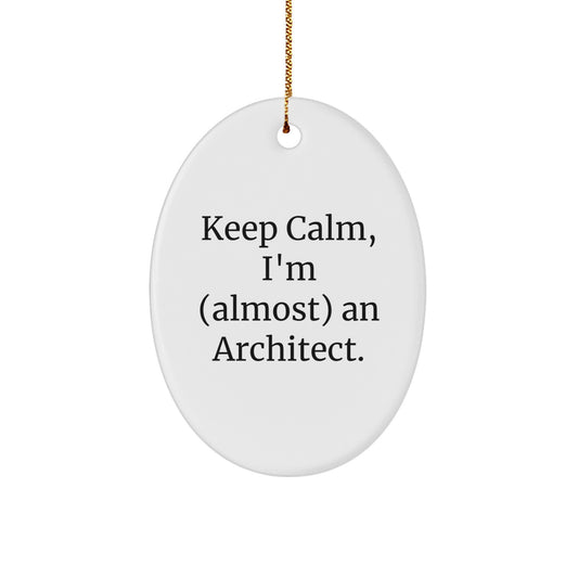 Architect Christmas Unique Gift, Oval Ornament, Funny Quote, Gifts for Men or Women Friends Family from Lover - Image 1