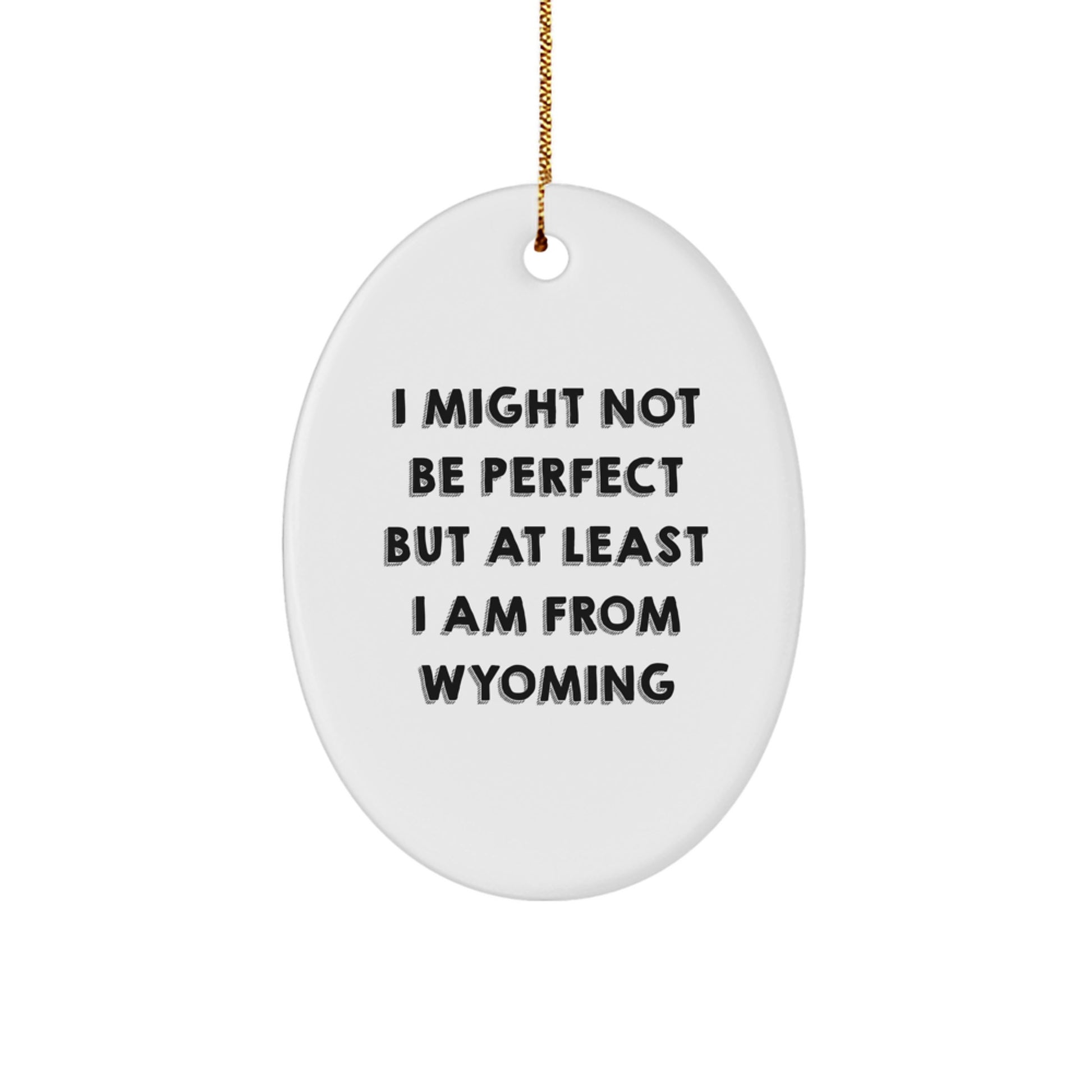 Wyoming Gifts from Friends and Family - I Might Not Be Perfect Oval Ornament, White, 3.25 Tall - Unique Christmas Memorable Present for Wyoming Men and Women - Image 1