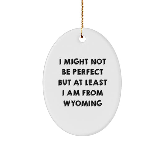 Wyoming Gifts from Friends and Family - I Might Not Be Perfect Oval Ornament, White, 3.25 Tall - Unique Christmas Memorable Present for Wyoming Men and Women - Image 1