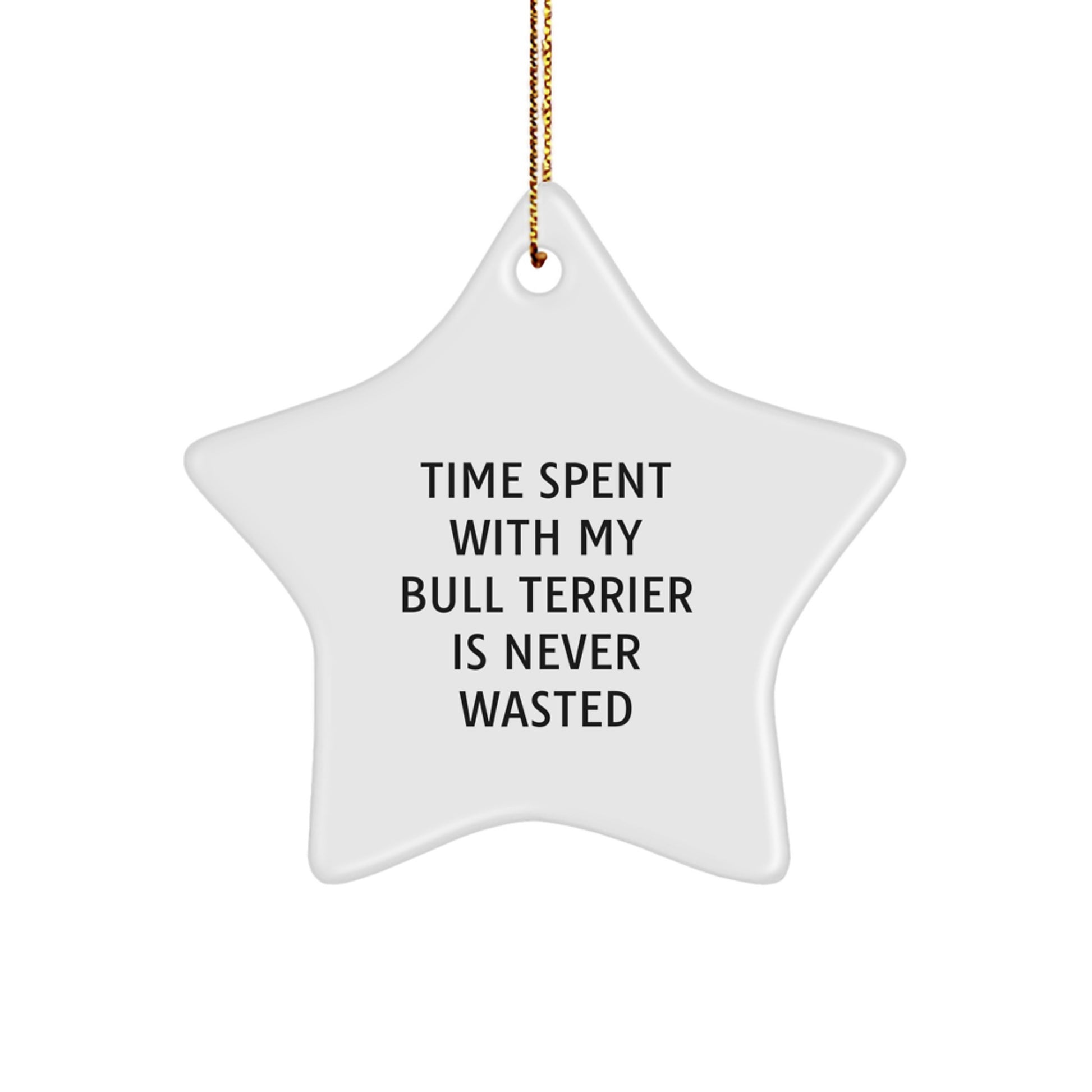 Bull Terrier Dog Lovers Gifts from Family - Star Ornament with Quote 'Time Spent With My Bull Terrier Is Never Wasted' - Christmas Unique Gifts for Friends - Image 1
