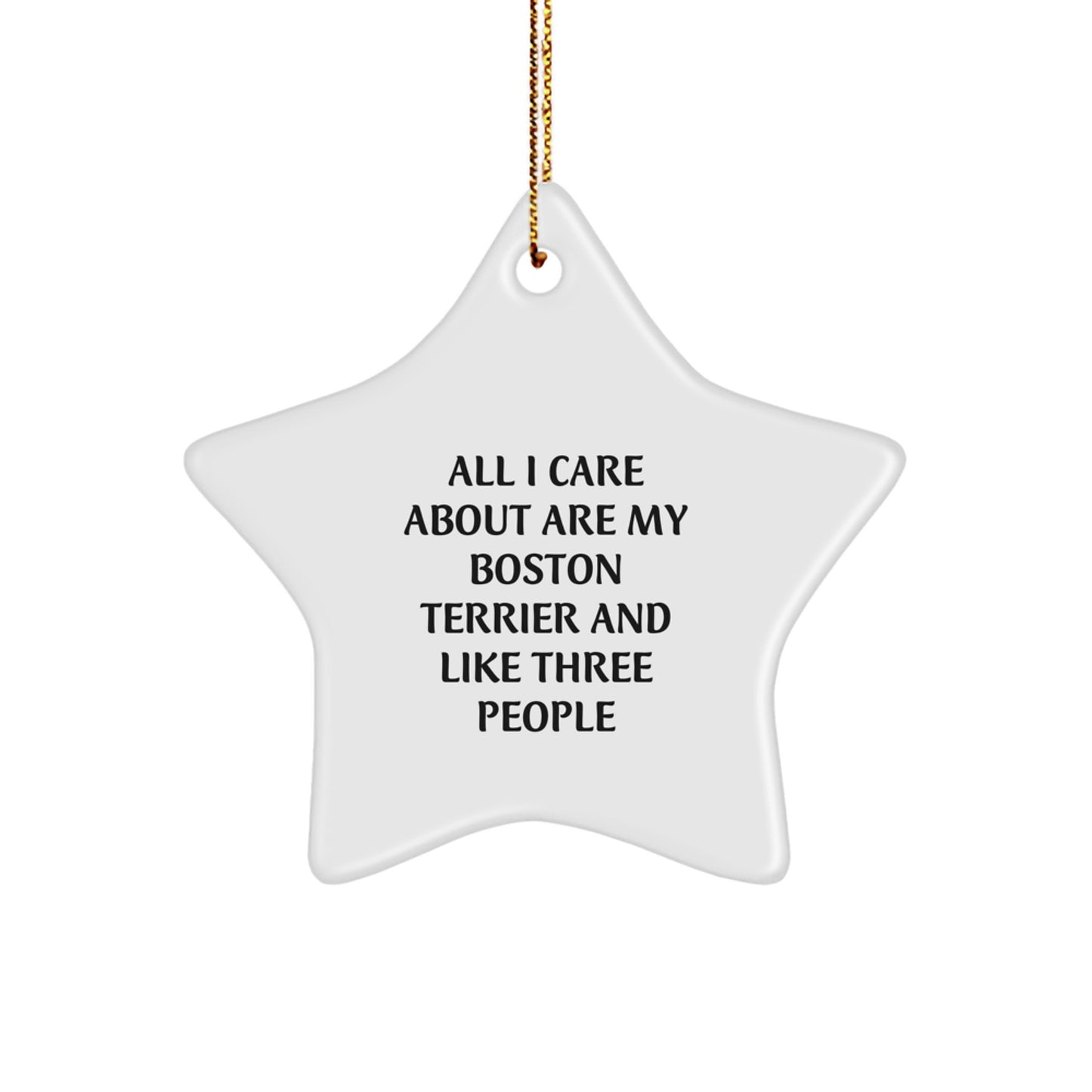 Boston Terrier Dog Lovers Gifts from Friends for Christmas, Star Ornament with Funny Quote, 'All I Care About Are My Boston Terrier And Like Three People' - Image 1
