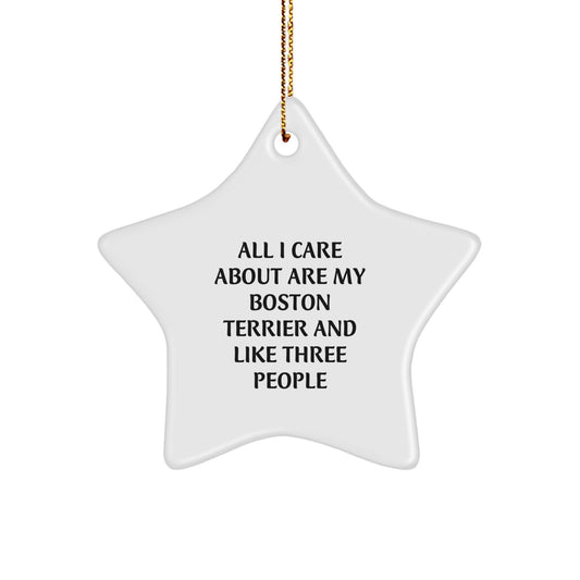 Boston Terrier Dog Lovers Gifts from Friends for Christmas, Star Ornament with Funny Quote, 'All I Care About Are My Boston Terrier And Like Three People' - Image 1