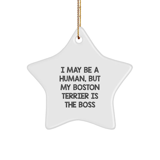 Boston Terrier Dog Lover's Christmas Unique Gift, 'I May Be A Human, But My Boston Terrier Is The Boss' Star Ornament, Gifts from Friends, Boston Terrier Dog Gifts, Unique Christmas Unique Gifts - Image 1