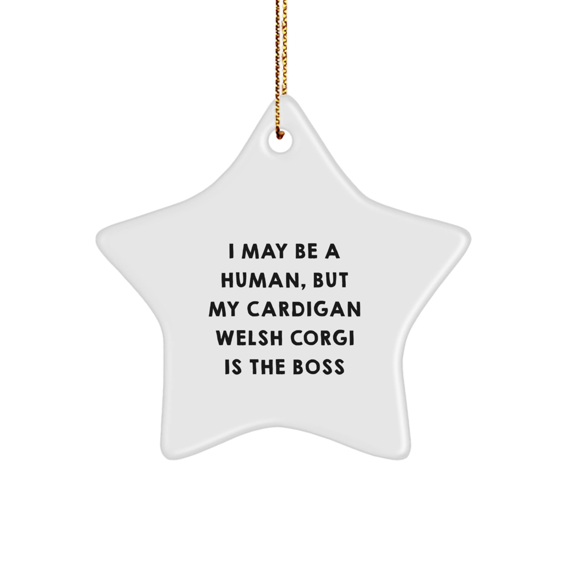 Cardigan Welsh Corgi Dog Gifts, Funny Star Ornament, Inspirational Quote, Gifts from Friends, Gifts for Cardigan Welsh Corgi Dog Lovers, Christmas Unique Gifts - Image 1