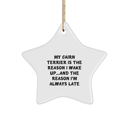 Cairn Terrier Dog Lovers Funny Star Ornament Gifts from Friends, Family, and Coworkers, Perfect for Christmas - Image 1