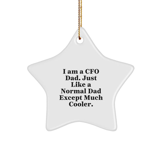 CFO Dad Gifts, Funny Star Ornament, Christmas Unique Gifts from Friends, Gifts for CFO Men - Image 1