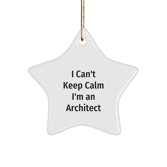 Architect Gifts: Funny I Can't Keep Calm I'm An Architect Star Ornament, Christmas Unique Gifts from Friends to Family - Image 1