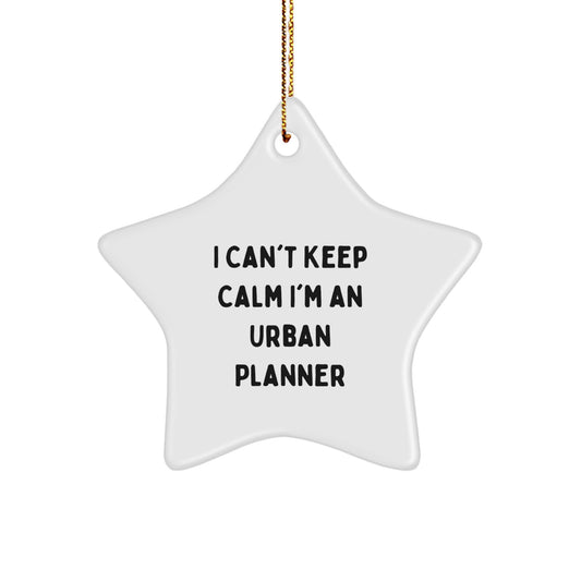 Urban Planner Gifts for Friends, 'I Can't Keep Calm I'm An Urban Planner' Funny Star Ornament, Christmas Unique Presents from Family, Colleagues, and Coworkers - Image 1