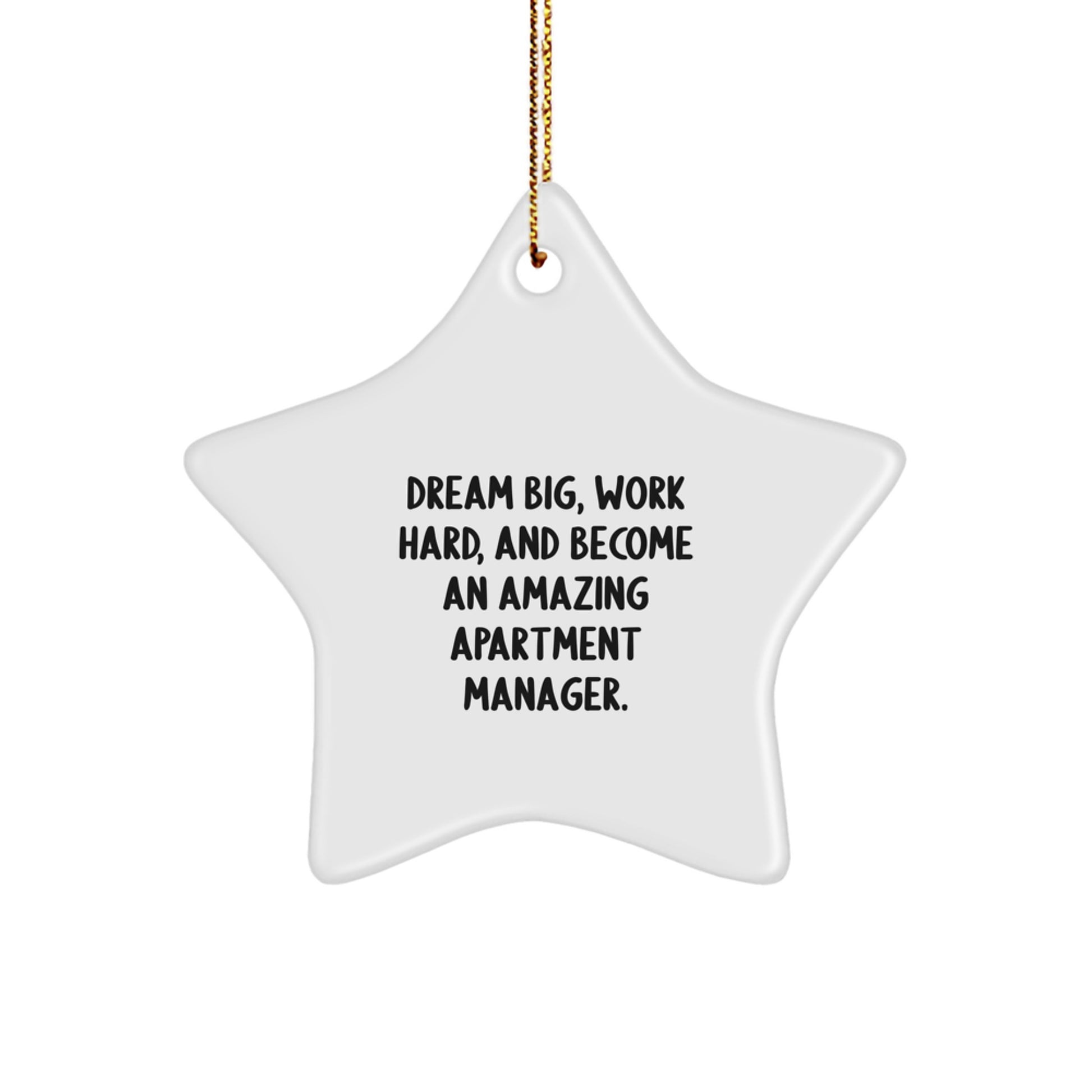 Inspirational Apartment Manager Gifts, Star Ornament with 'Dream Big, Work Hard, And Become An Amazing Apartment Manager.' Quote, Festive Gold Cord, Perfect for Christmas - Image 1