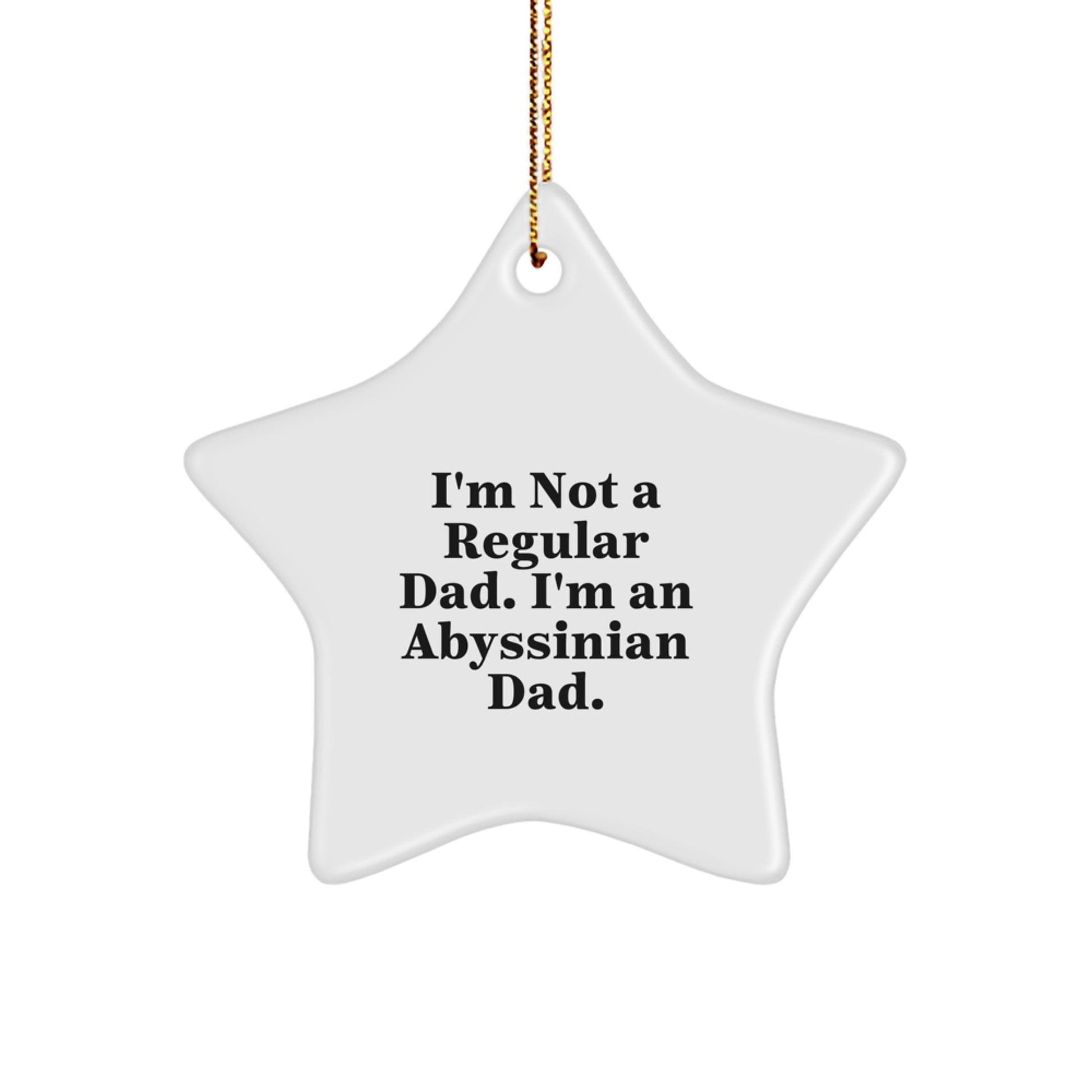 Abyssinian Cat Dad Star Ornament, Funny Quote Gifts from Men to Abyssinian Cat Lovers, Christmas Unique Gifts - Image 1