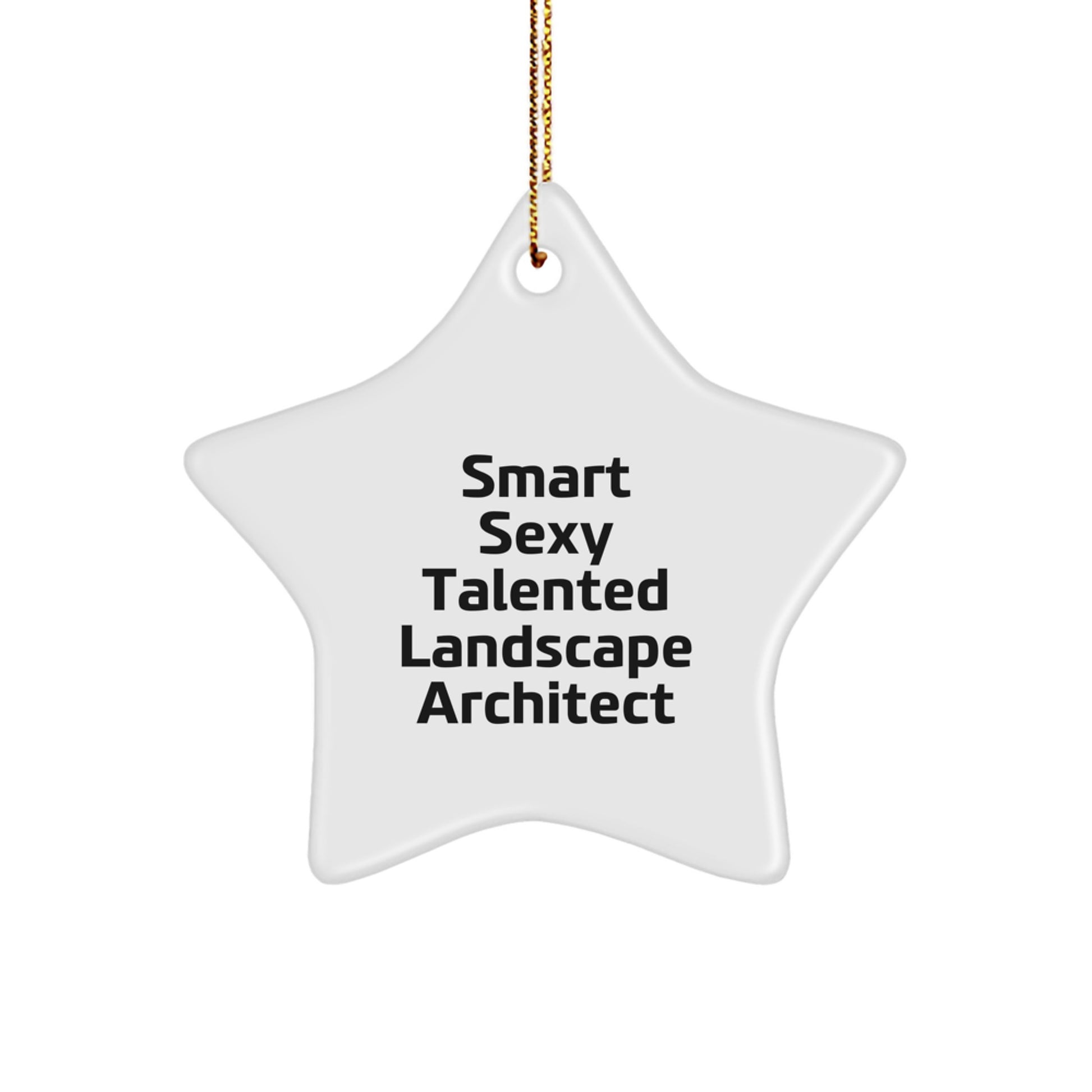 Smart Sexy Talented Landscape Architect Star Ornament Gifts for Men from - Image 1